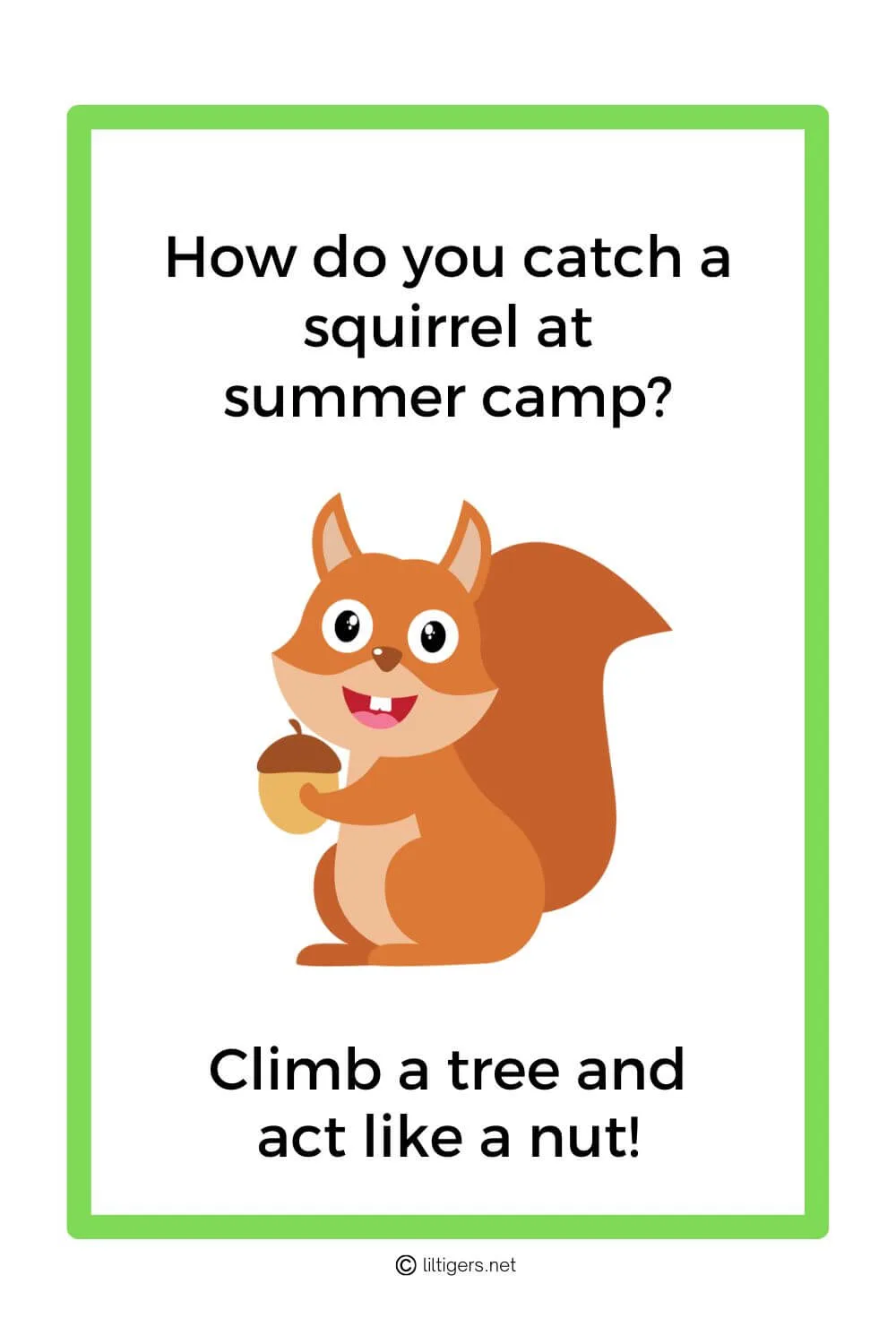 Jokes About Summer Camp