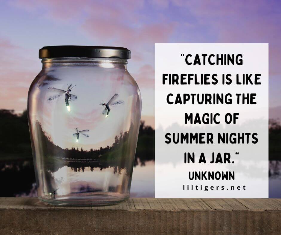 Catching Fireflies Quotes
