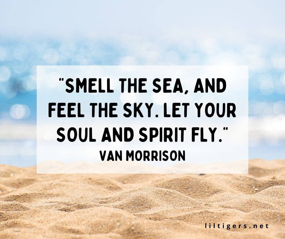 fun summer beach quotes for kids
