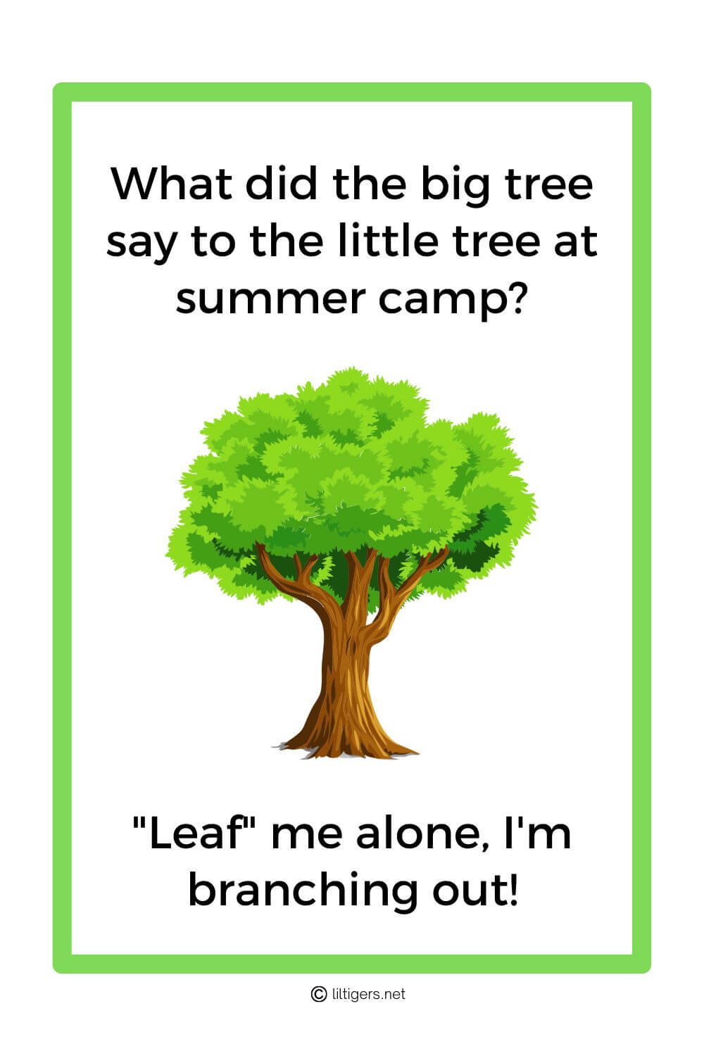 funny summer camp jokes for children