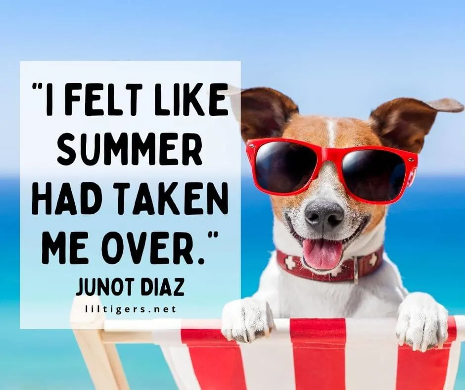 summer fun quotes for kids