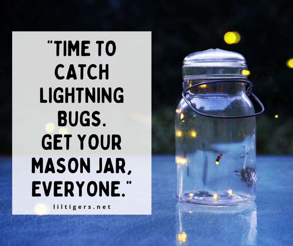 Lightening Bug Quotes