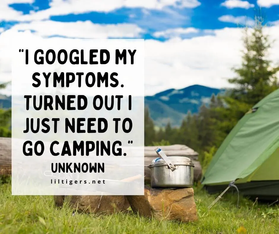 Funny Camping Quotes for kids