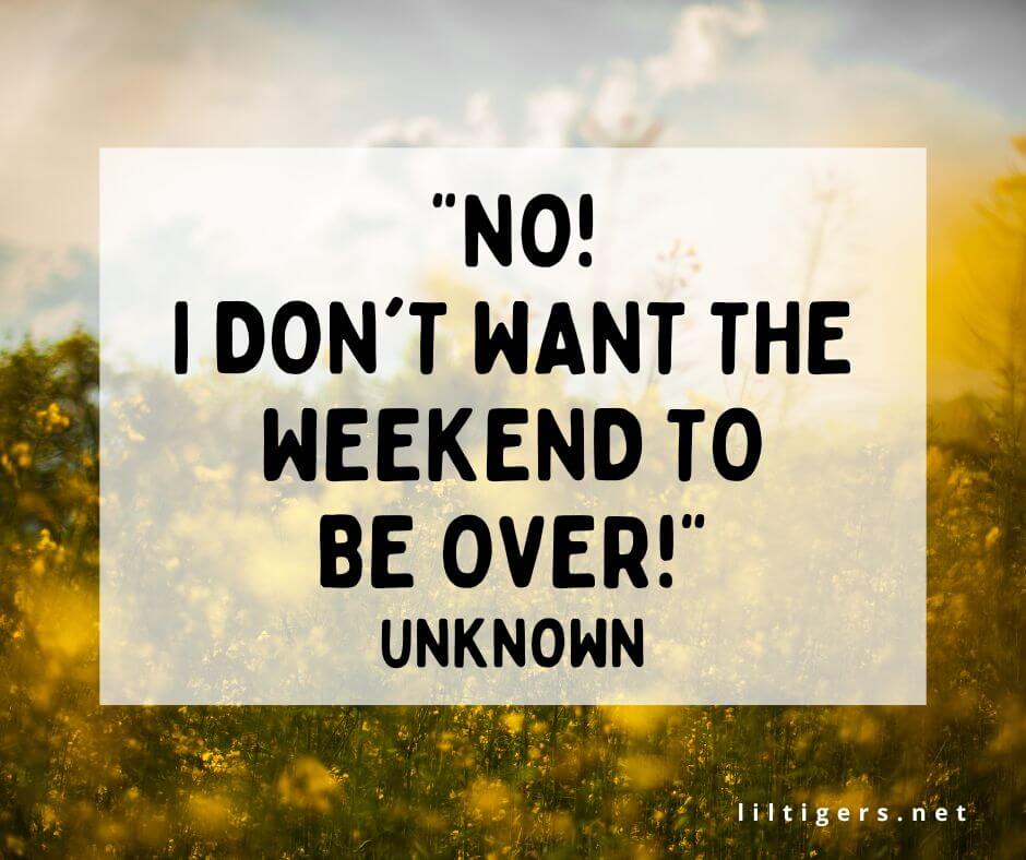 quotes about the end of the weekend for kids