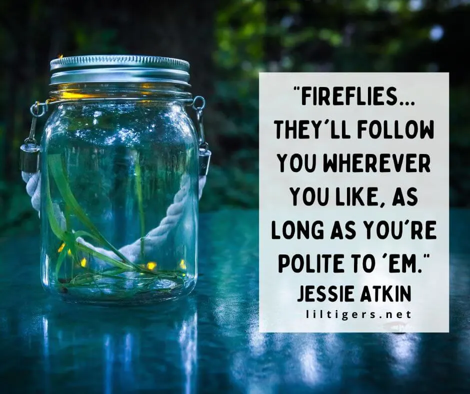 quotes about firefly