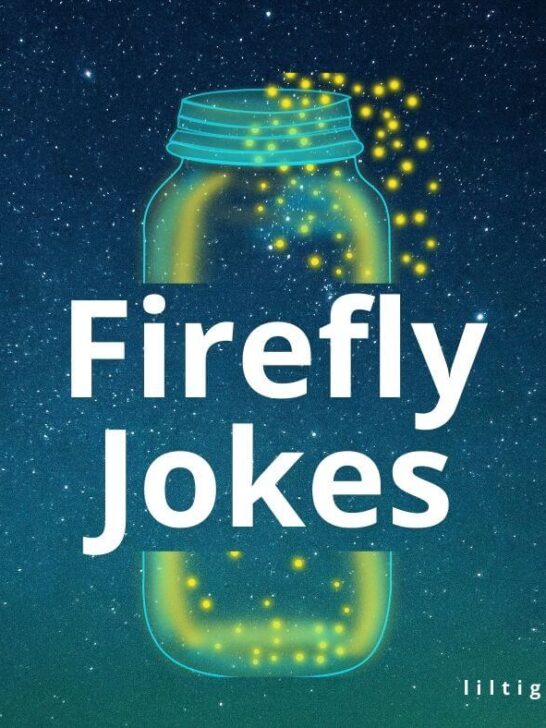 funny firefly jokes for kids