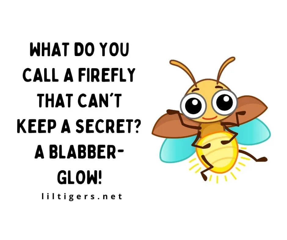 Funny Firefly Jokes for Adults
