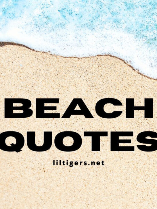 Beach quotes for kids