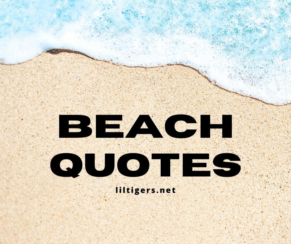 Beach quotes for kids