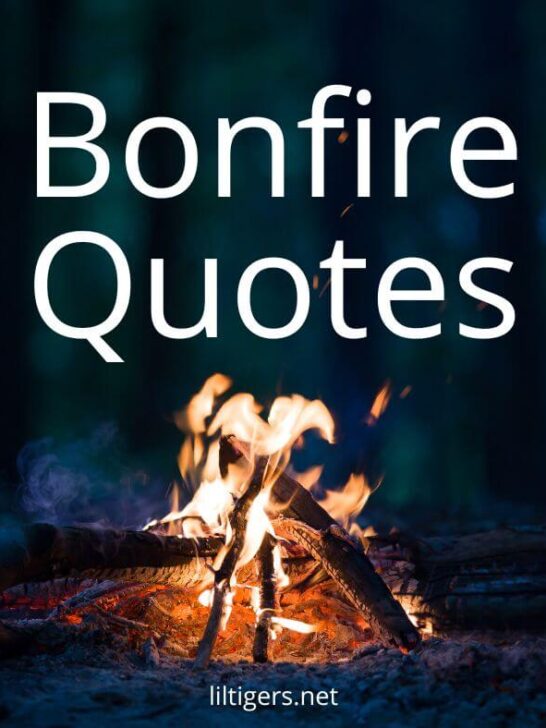 bonfire quotes for kids