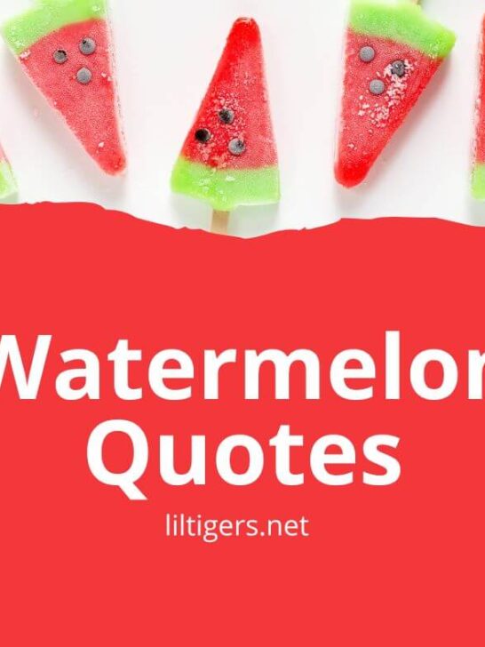 watermelon quotes for kids