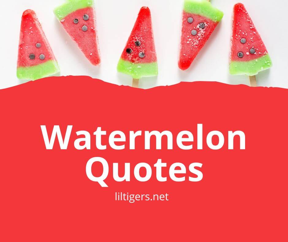 watermelon quotes for kids