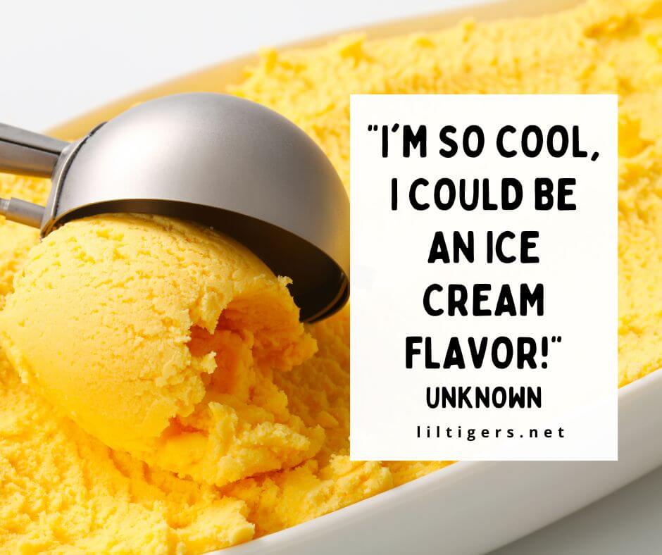 Funny Ice Cream Quotes for Kids