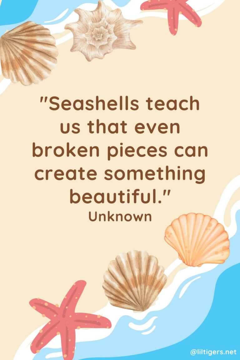 100 Best Seashell Quotes for Kids - Lil Tigers