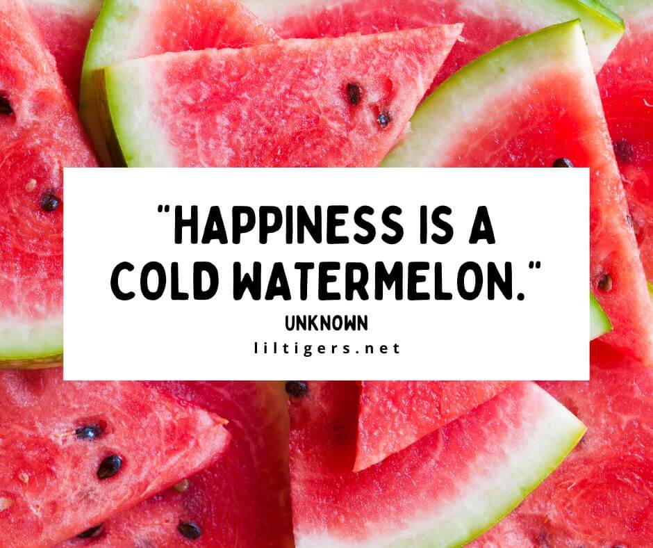 Quotes About Watermelons