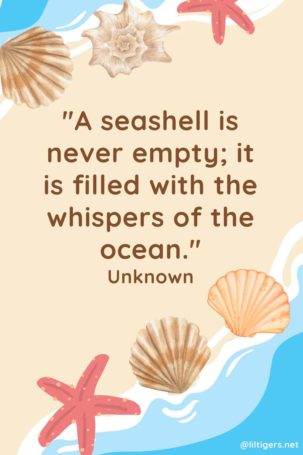 inspiring seashell quotes