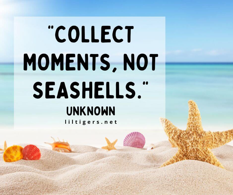 Cute Beach Quotes for Children