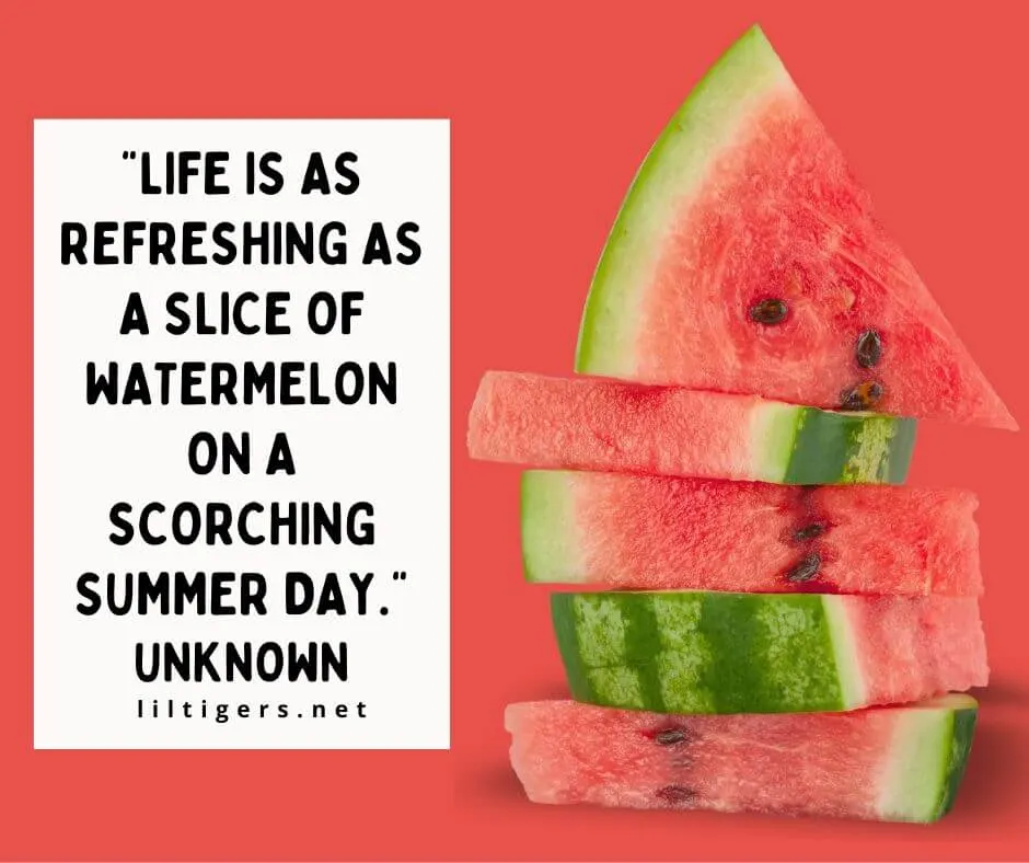 quotes on watermelons