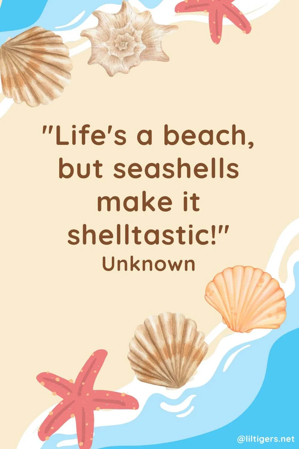 Fun Seashell Quotes