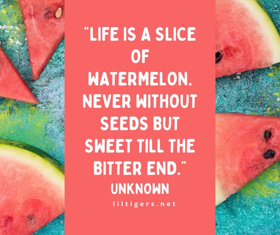 Watermelon Quotes for Summer