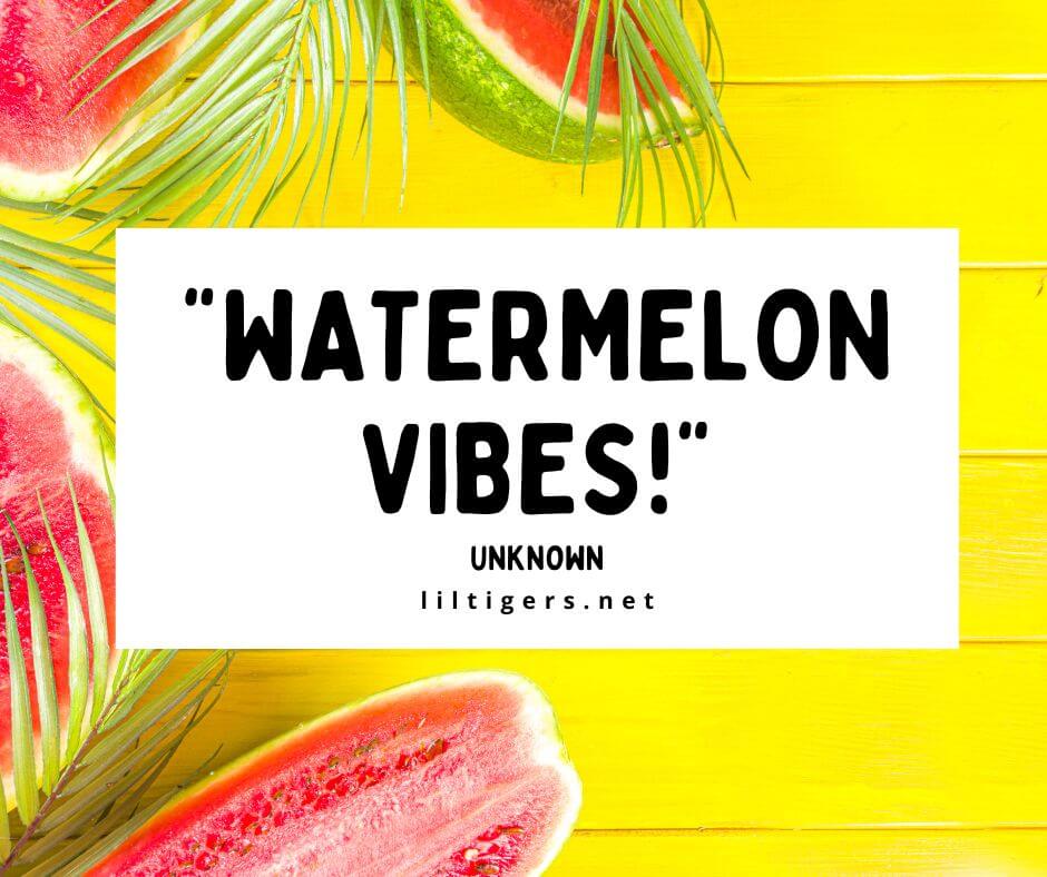 Fun Watermelon Captions for kids