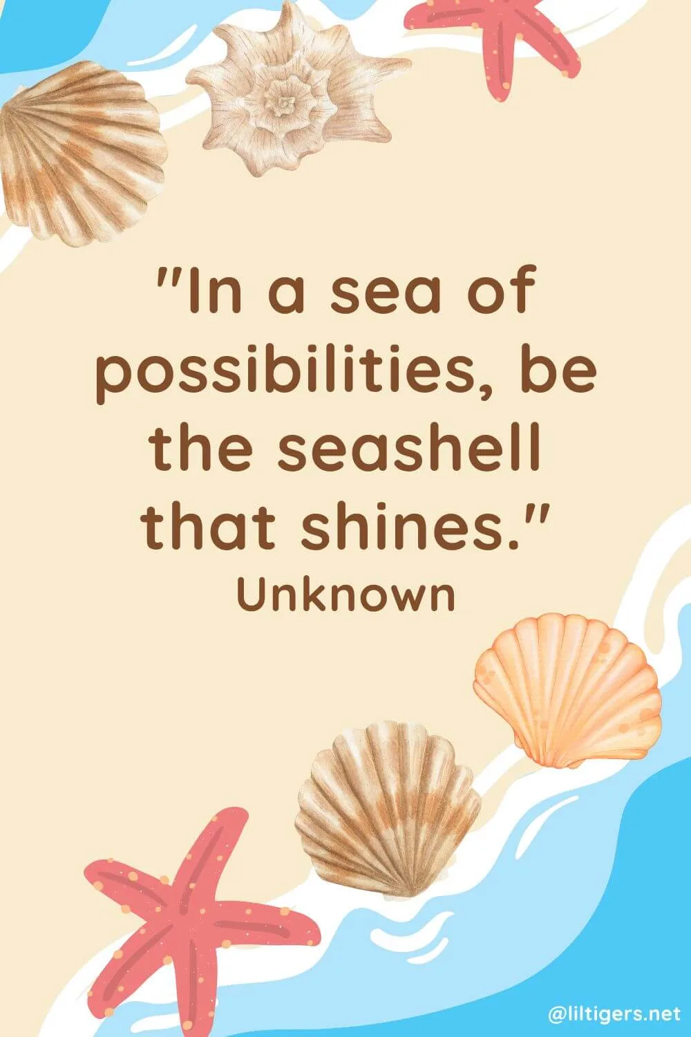 Positive Seashell Quotes