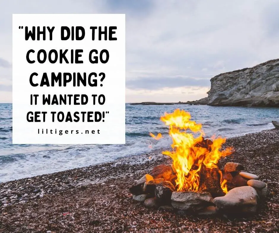 Funny Campfire Puns