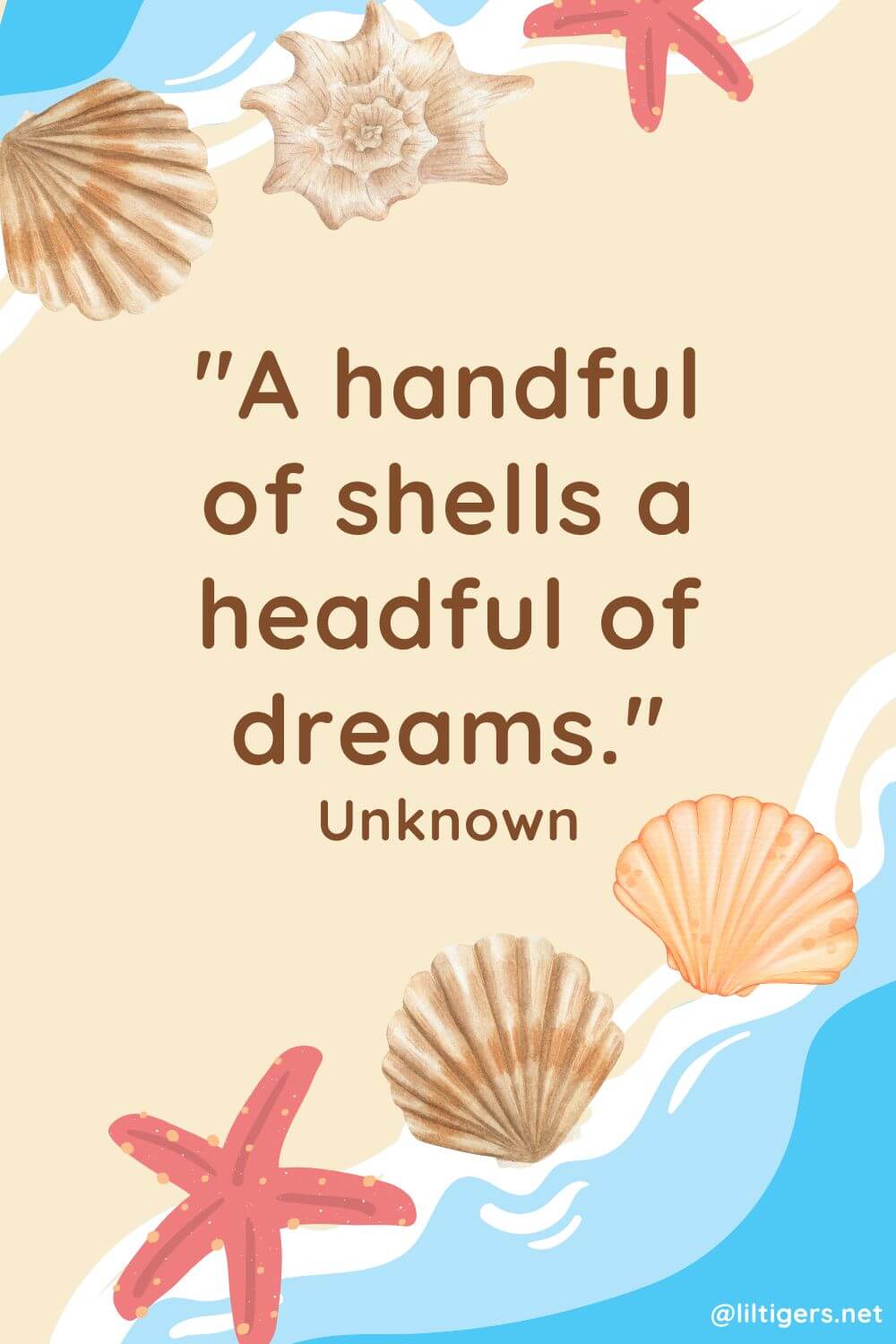 motivational seashell quotes 