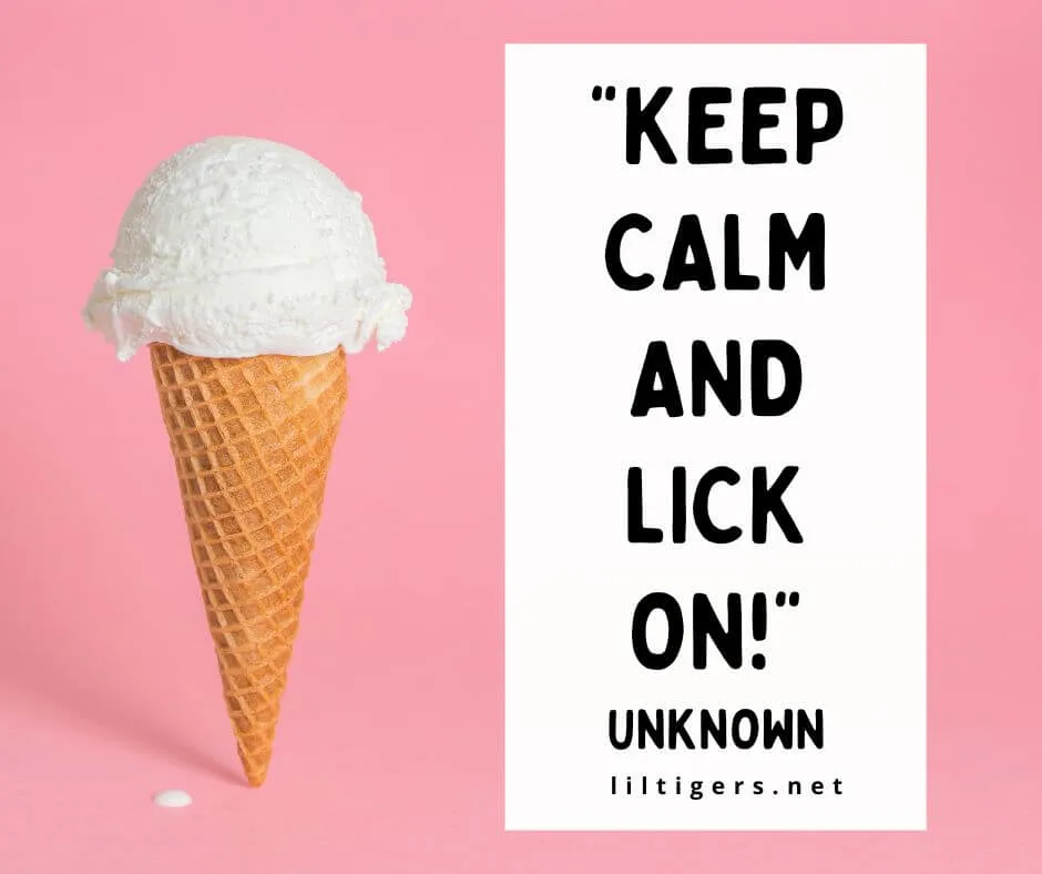 Fun Ice Cream Captions for kids