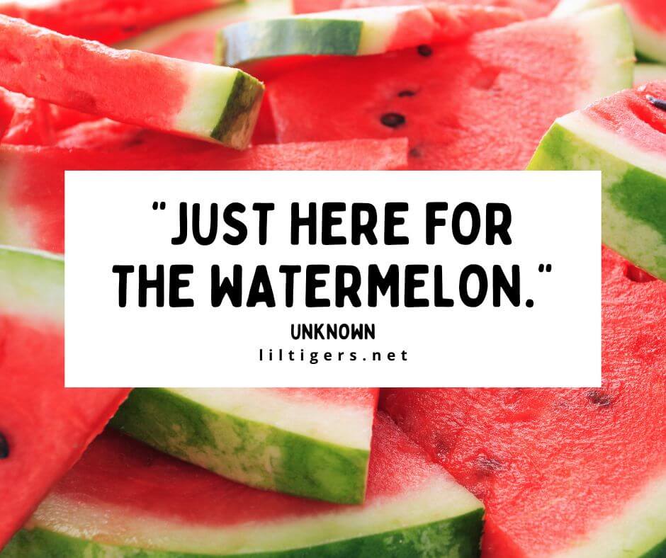 Funny Watermelon Puns