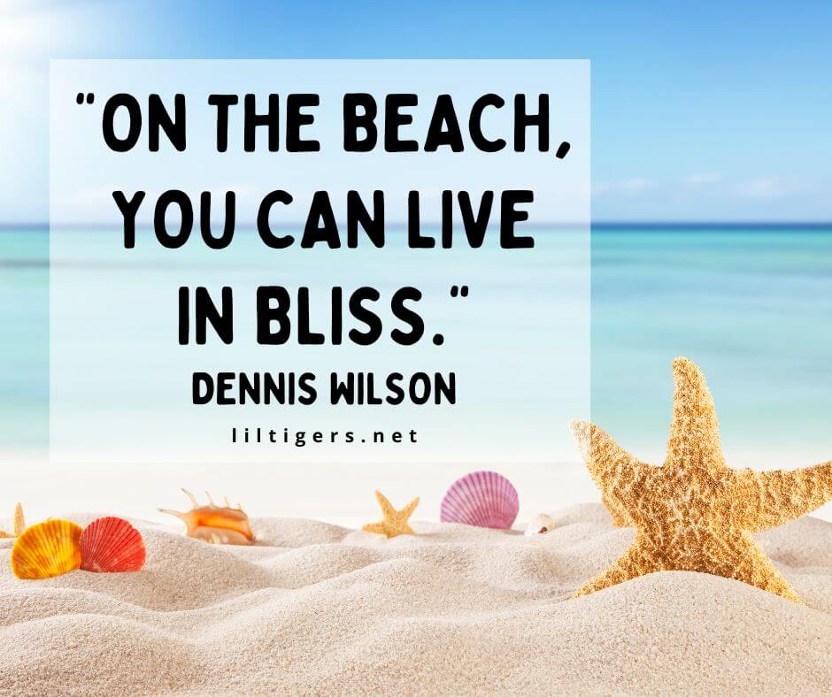 On the Beach Quotes for Family Outings