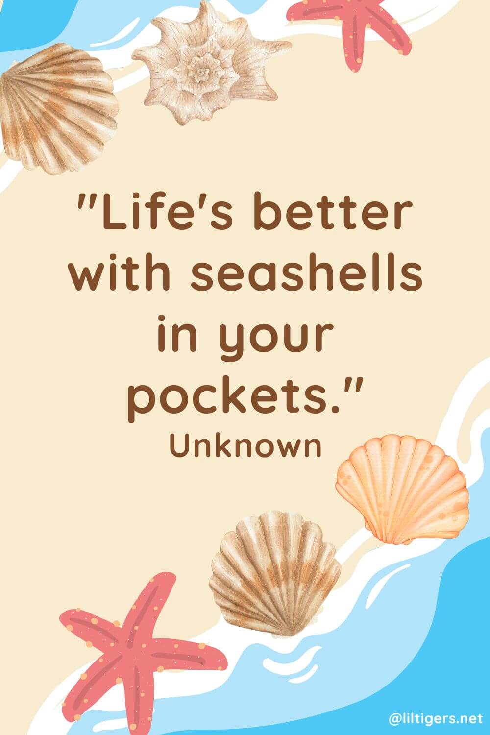 seashell quotations