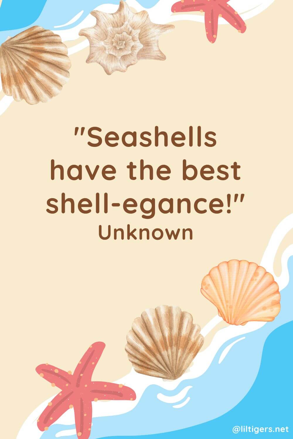 Funny Seashell Puns