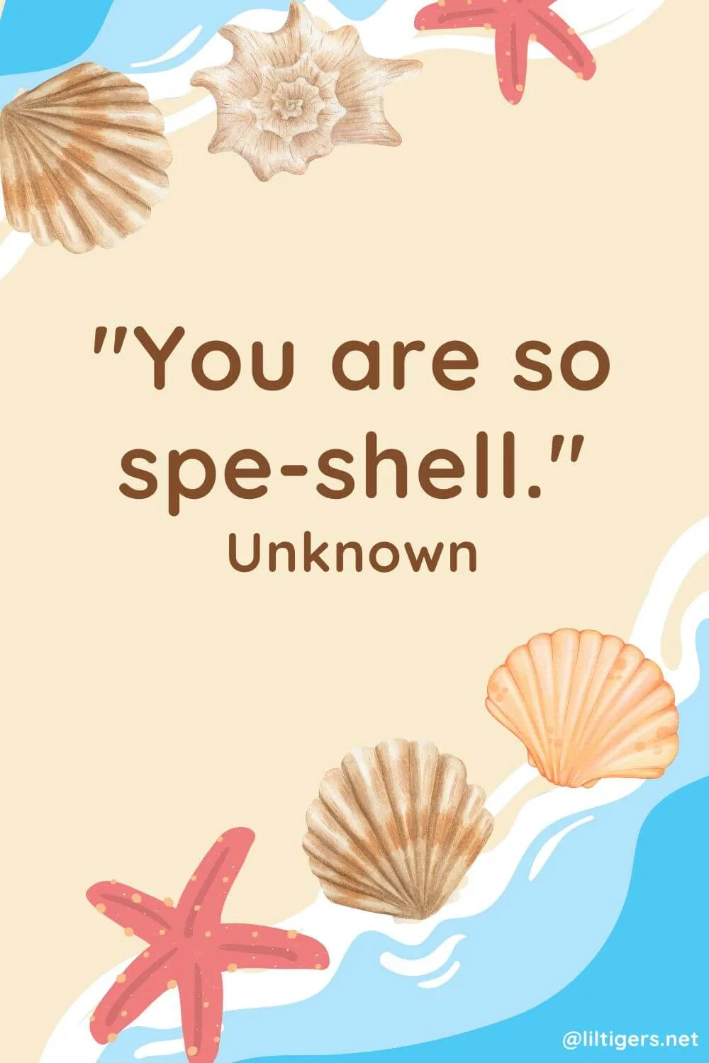 seashell phrases for kids