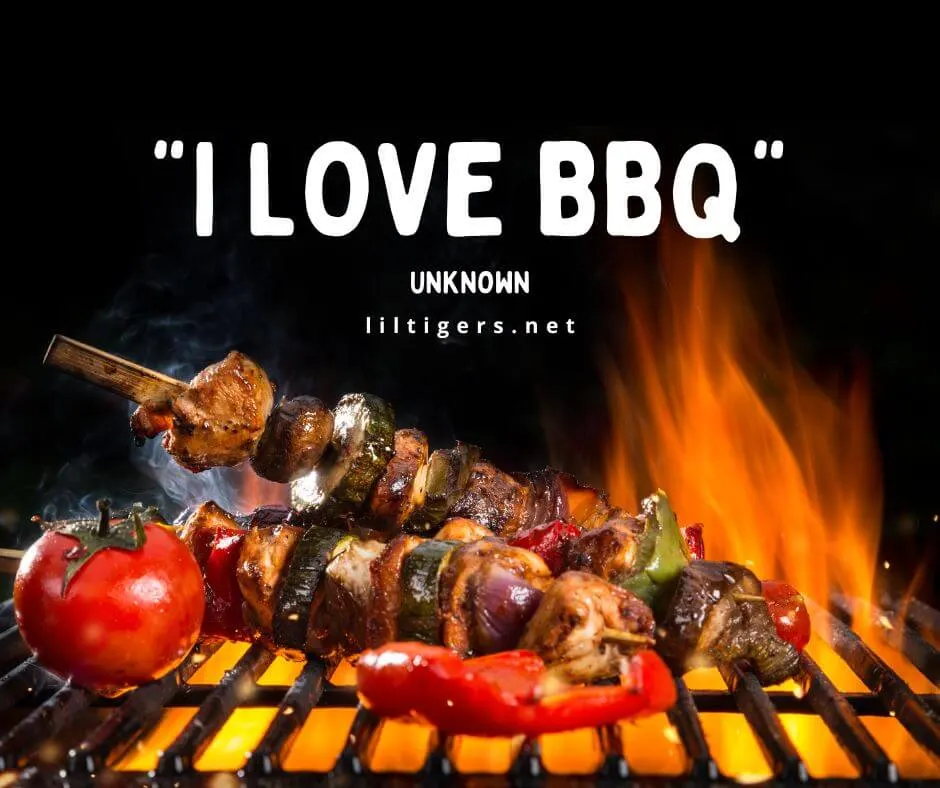 Fun BBQ Captions for kids