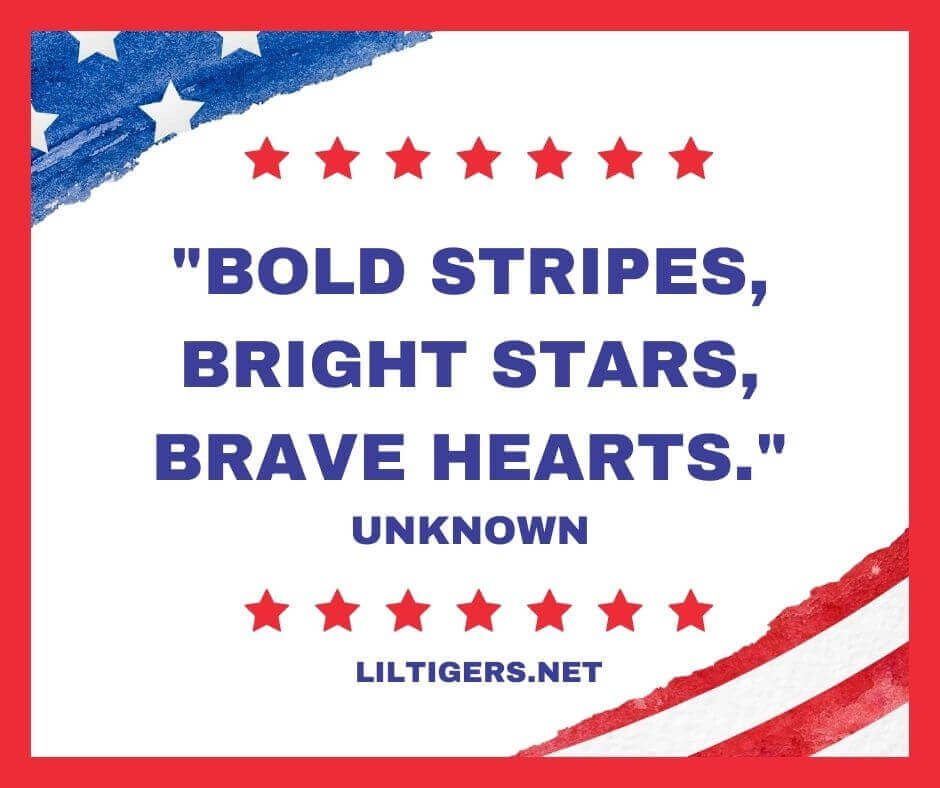 Patriotic 4th of July Quotes