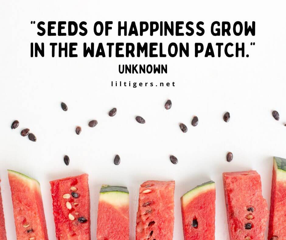 kids watermelon sayings