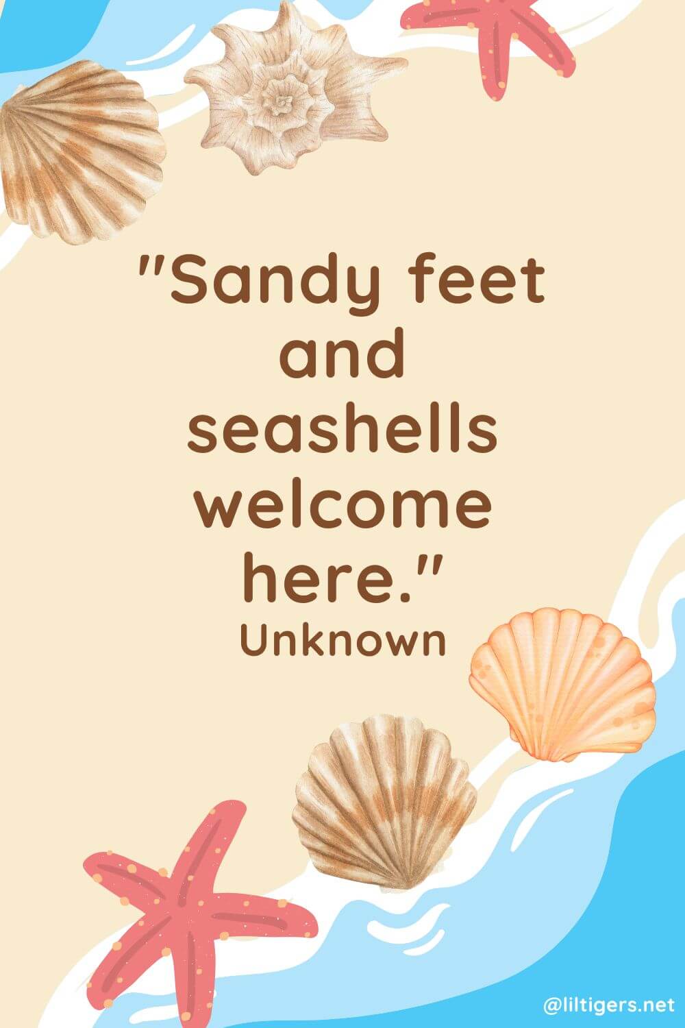 Seashell greetings and wishes