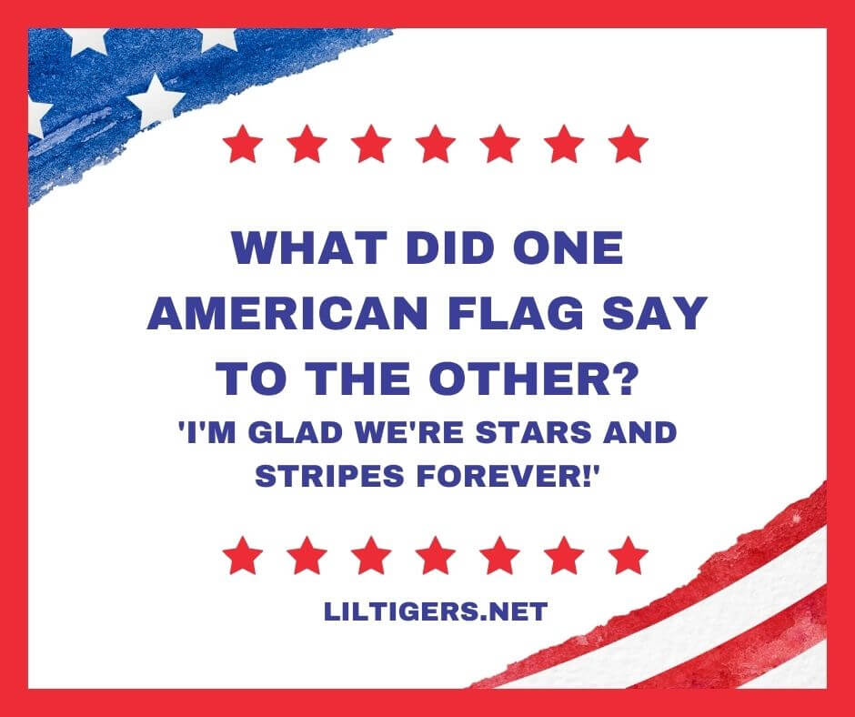 Funny 4th of July Puns for Kids