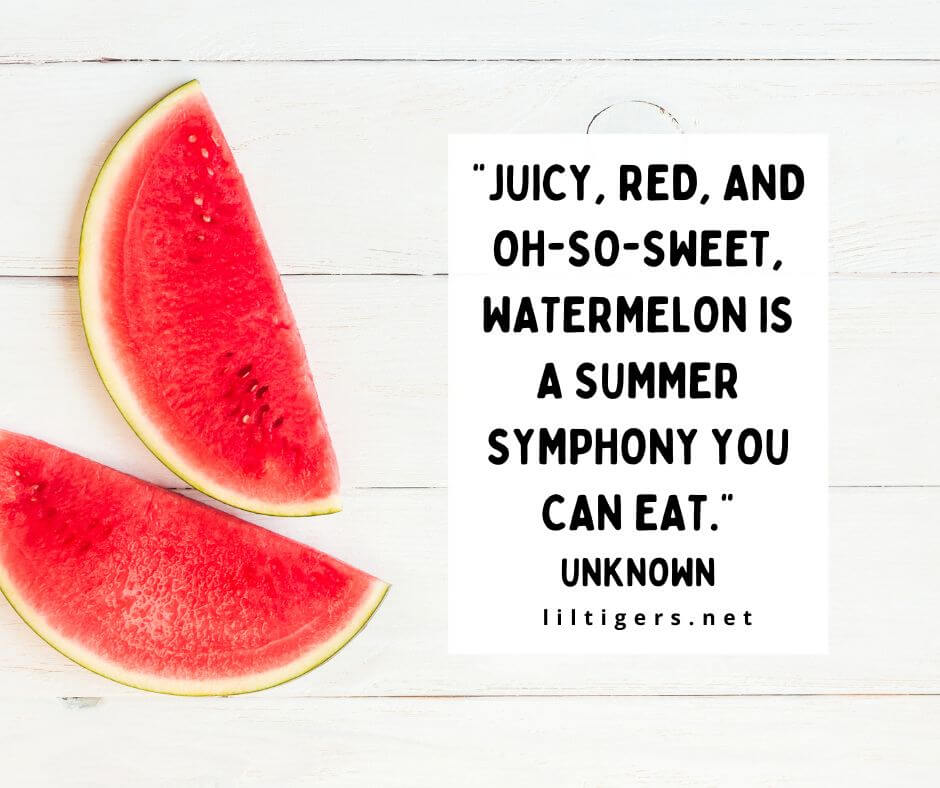 Sweet Watermelon Quotes for kids