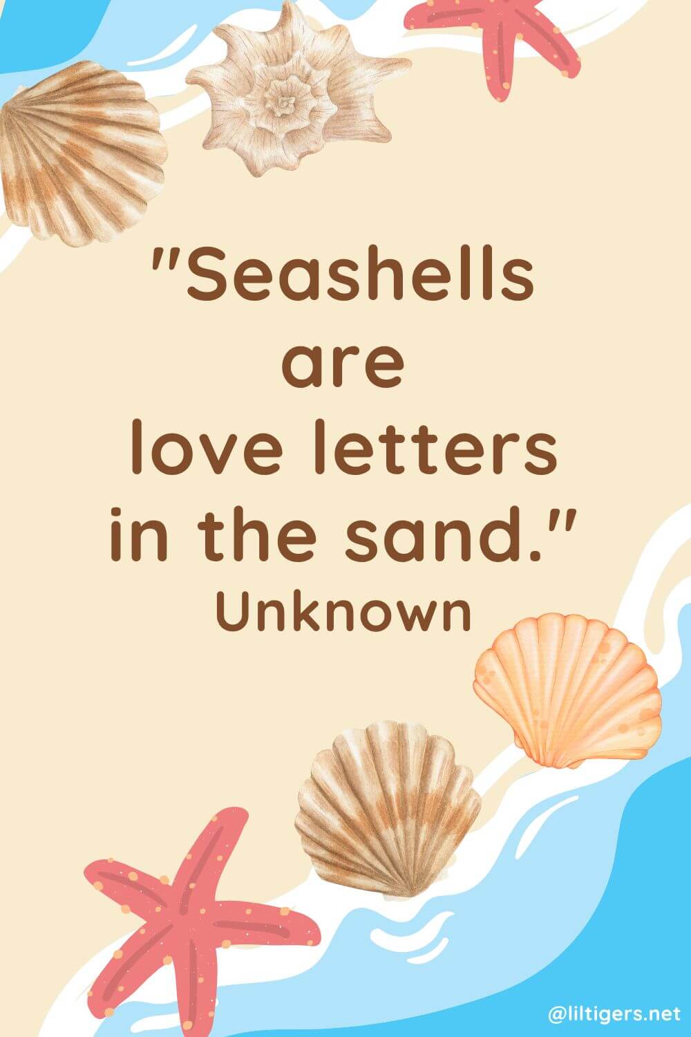 Short Seashell Quotes