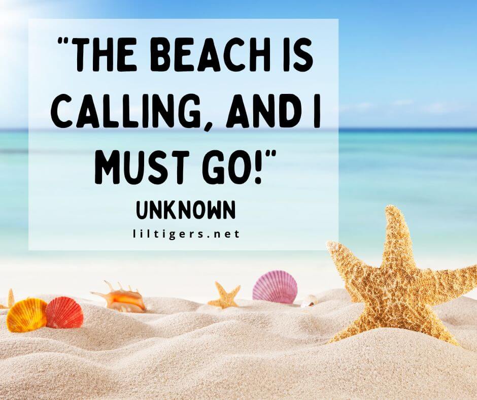 children beach quotes