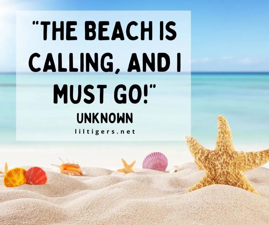 children beach quotes