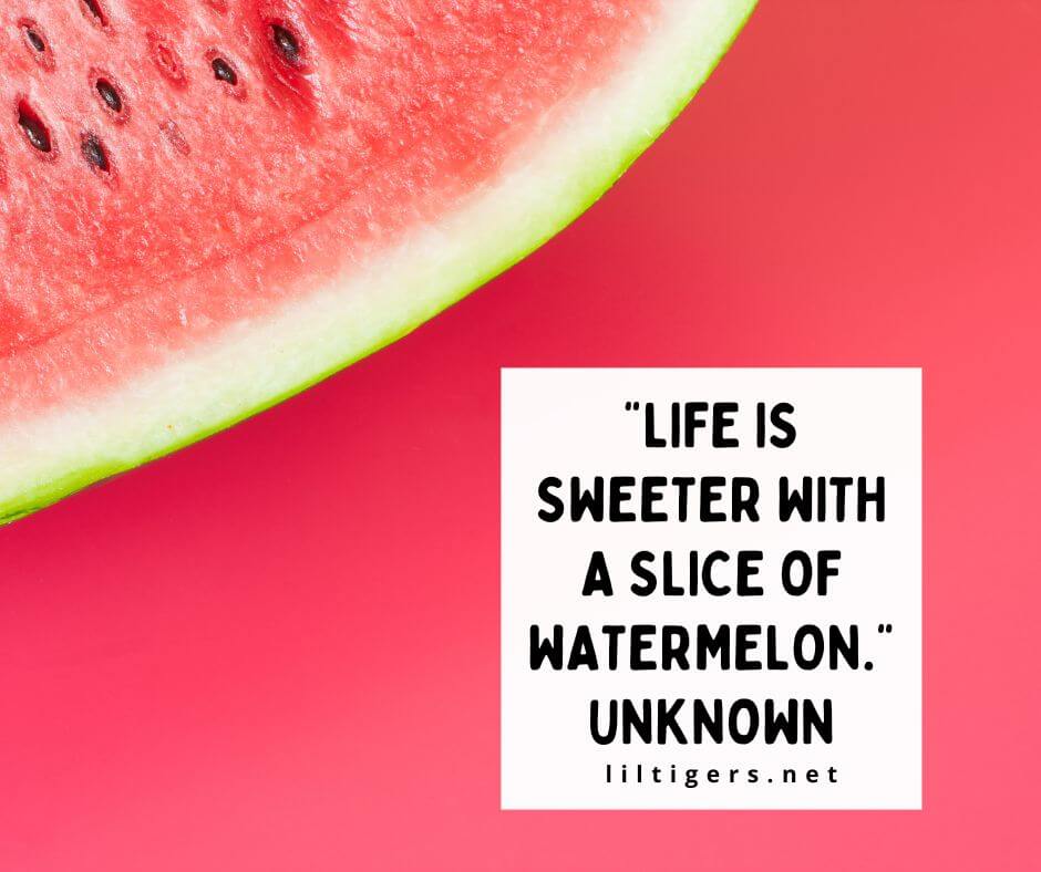 watermelon quotations for kids