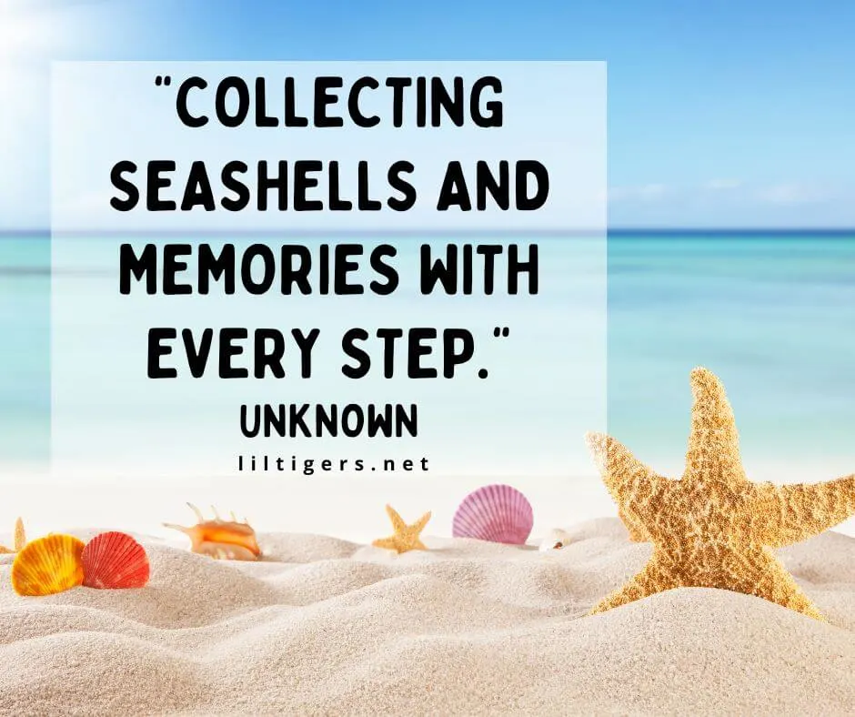 Kids Beach Quotes