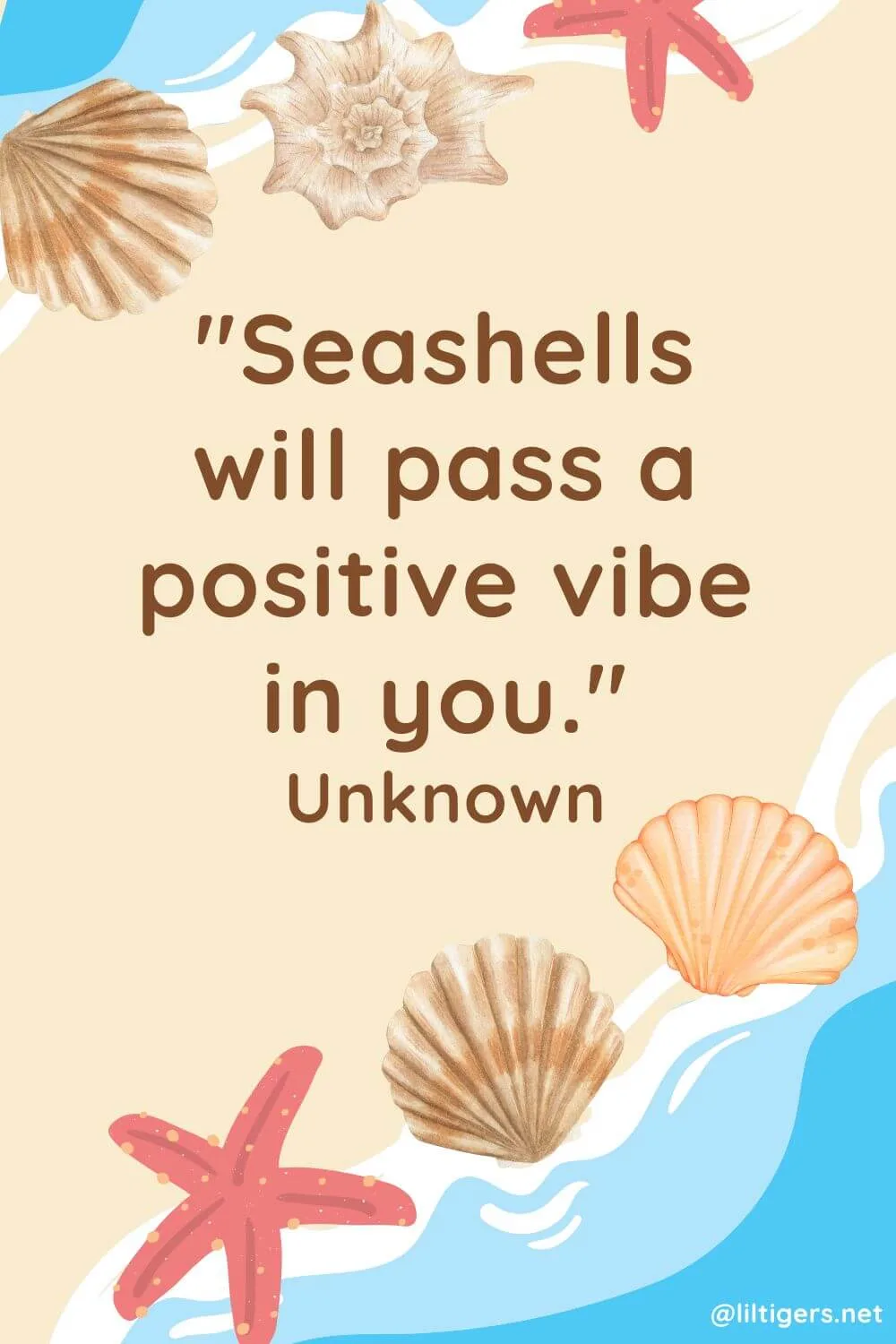 Quotes About Seashells