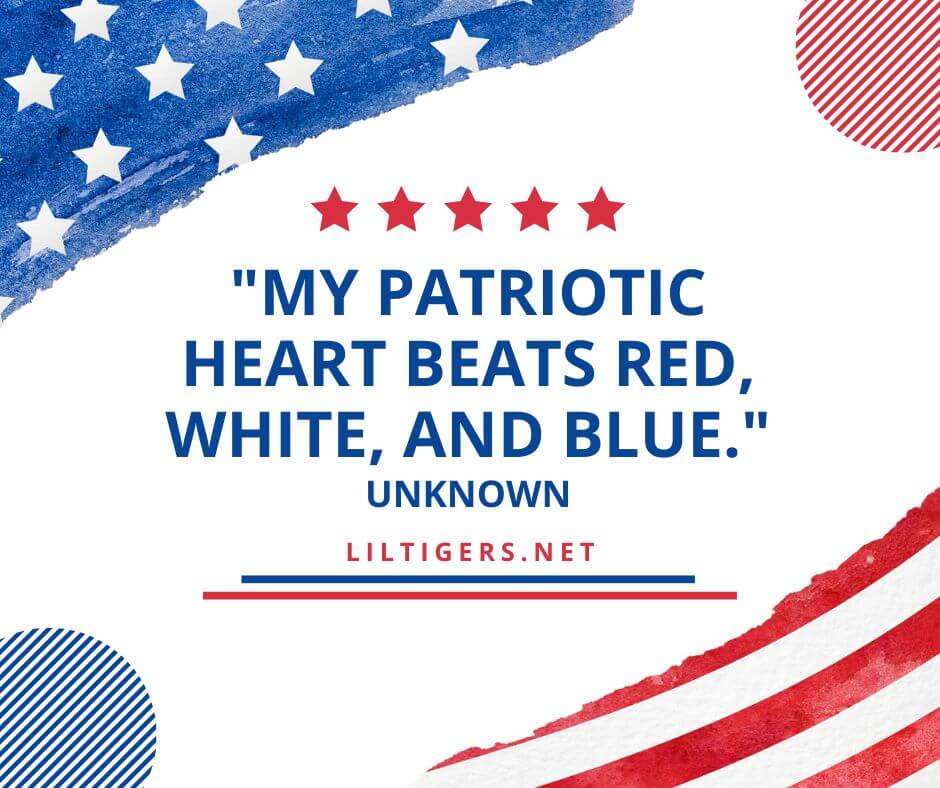 Short Patriotic Quotes