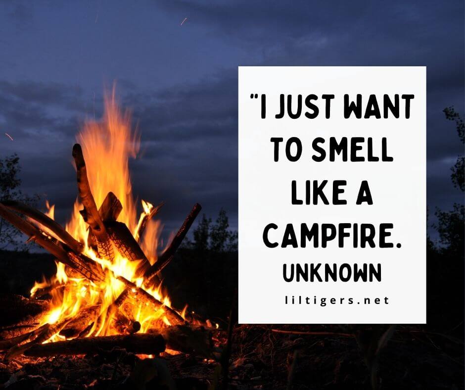 Fun Campfire Quotes for Kids
