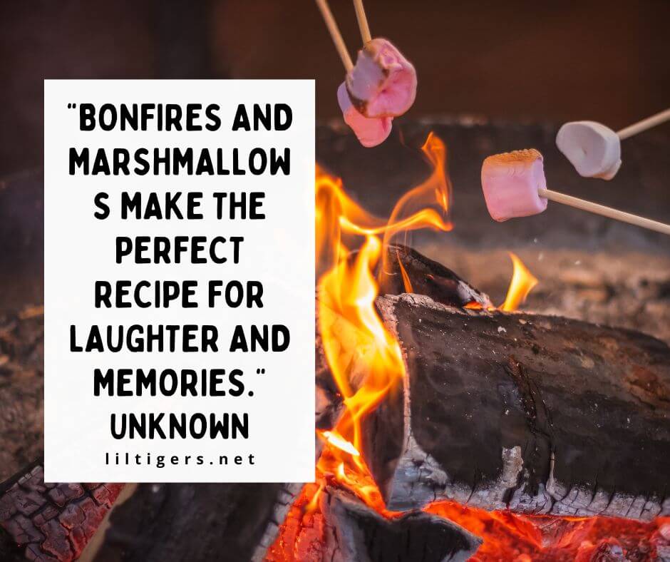 Fun Bonfire Quotes for Kids