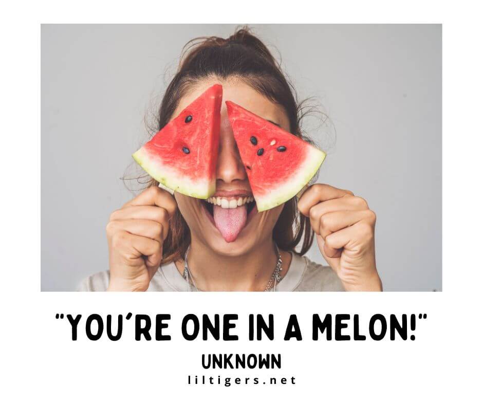 Watermelon Quotes short